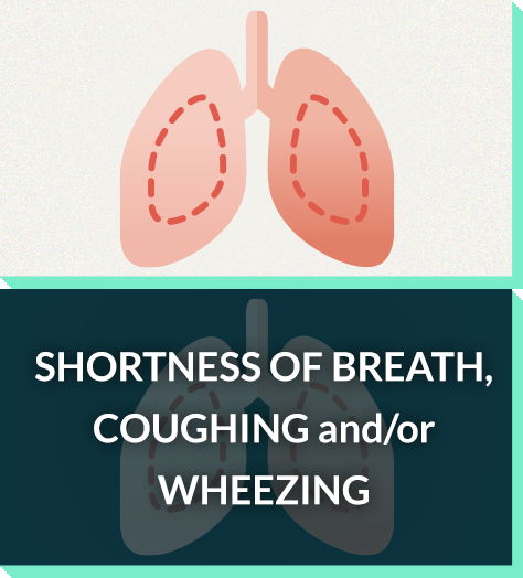Severe allergy symptoms: shortness of breath, coughing, wheezing