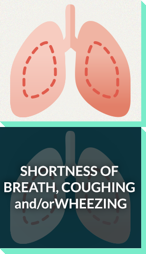 Severe allergy symptoms: shortness of breath, coughing, wheezing